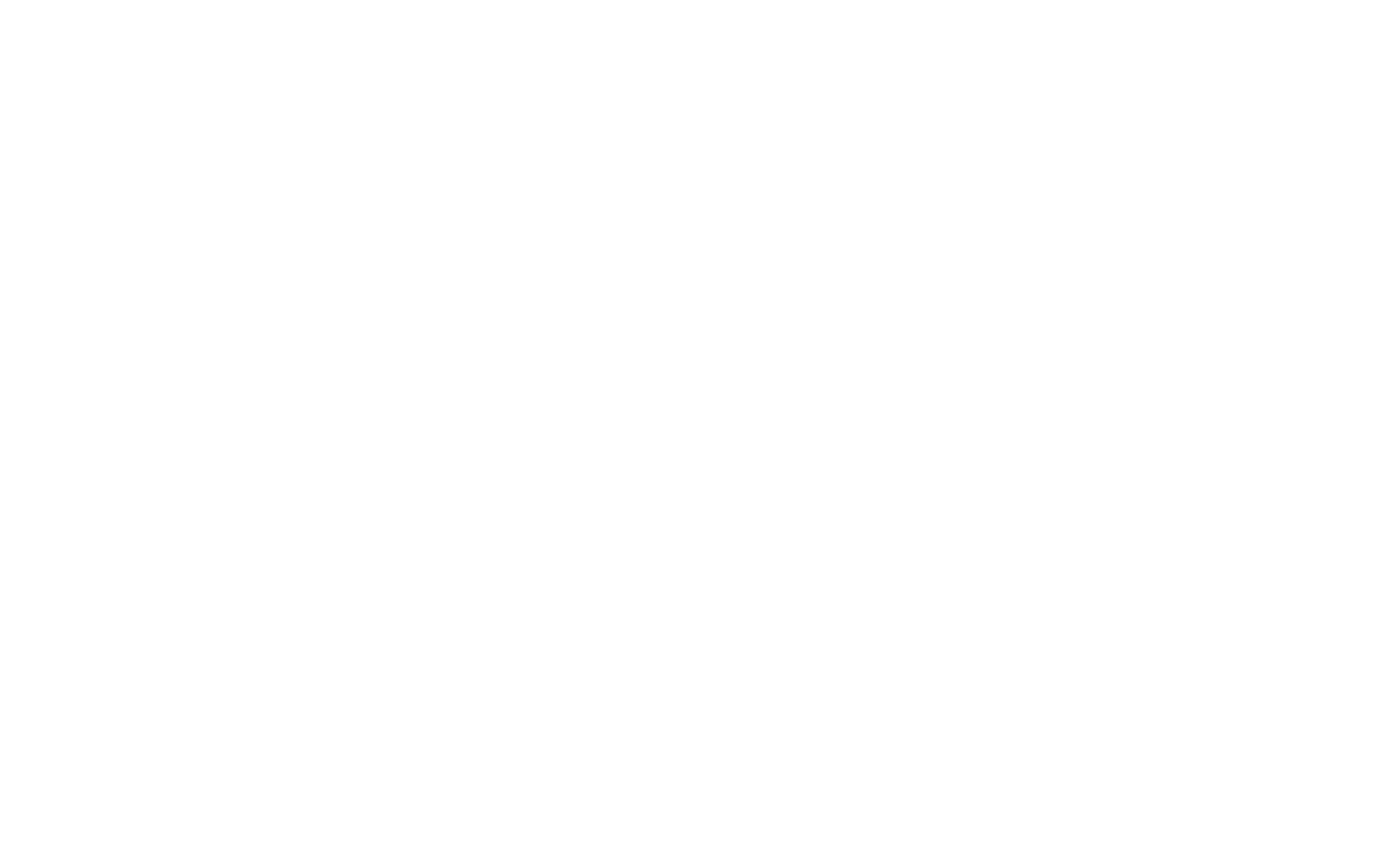 Castle Point Castle Point Logo